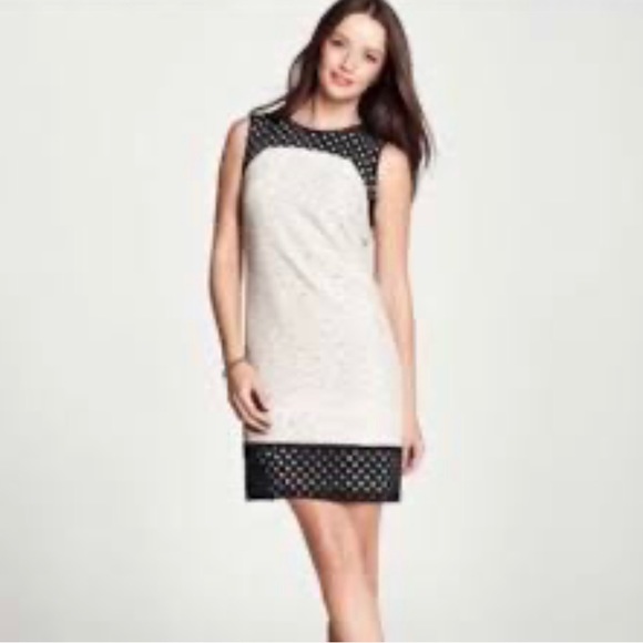 CLOSET CLOSING!!!🌳ANN TAYLOR🌳TEXTURED MINI MOD SHIFT DRESS - Picture 3 of 12